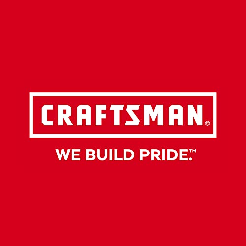 CRAFTSMAN CMHT65021 CFT SD ACETATE - SL 3/16IN X 4IN