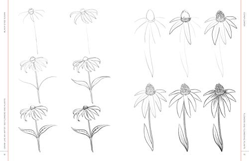 Draw Like an Artist: 100 Flowers and Plants: Step-by-Step Realistic Line Drawing * A Sourcebook for Aspiring Artists and Designers (Volume 2) (Draw Like an Artist, 2)