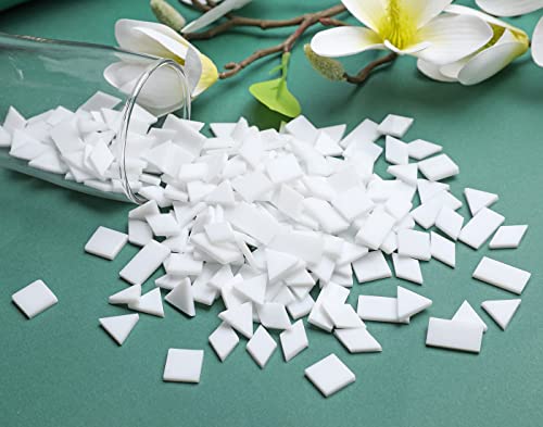 Lanyani Glass Mosaic Tiles for Art Crafts,4 Shapes Mixed Tiffany Stained Glass Pieces,200 Pieces (Regular White)