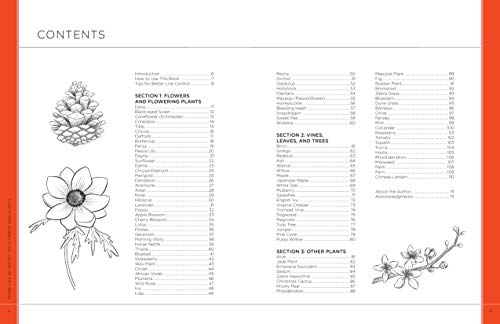 Draw Like an Artist: 100 Flowers and Plants: Step-by-Step Realistic Line Drawing * A Sourcebook for Aspiring Artists and Designers (Volume 2) (Draw Like an Artist, 2)