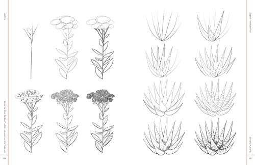 Draw Like an Artist: 100 Flowers and Plants: Step-by-Step Realistic Line Drawing * A Sourcebook for Aspiring Artists and Designers (Volume 2) (Draw Like an Artist, 2)