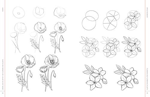Draw Like an Artist: 100 Flowers and Plants: Step-by-Step Realistic Line Drawing * A Sourcebook for Aspiring Artists and Designers (Volume 2) (Draw Like an Artist, 2)