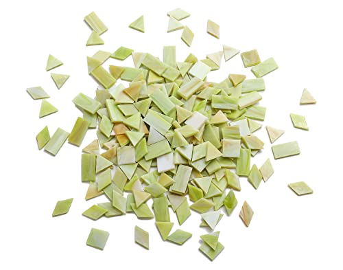 Lanyani Glass Mosaic Tiles for Art Crafts,4 Shapes Mixed Tiffany Stained Glass Pieces,200 Pieces (Green-2)
