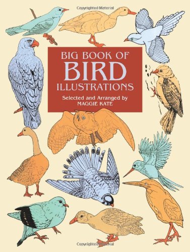 Big Book of Bird Illustrations (Dover Pictorial Archive)