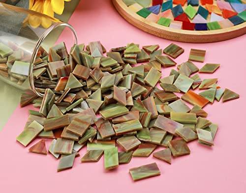 Lanyani Glass Mosaic Tiles for Art Crafts,4 Shapes Mixed Tiffany Stained Glass Pieces,200 Pieces (Green-Red)