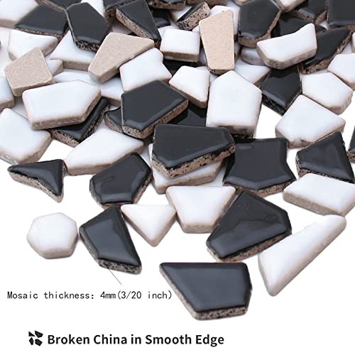 Youway Style Ceramic Mosaic Tiles for Crafts Bulk, 228g Black and White Mosaic Tiles, Mosaic Pieces for Mosaic Making Supplies (Mixed Colors,8 Ounce)