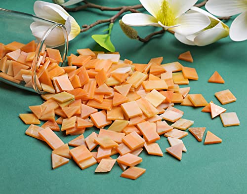 Lanyani Glass Mosaic Tiles for Art Crafts,4 Shapes Mixed Tiffany Stained Glass Pieces,200 Pieces (Sand)