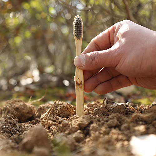 Biodegradable Eco-Friendly Natural Bamboo Charcoal Toothbrushes - 12 Count