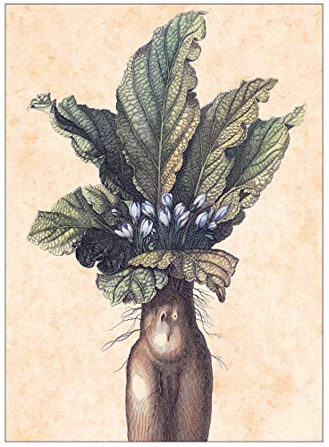 Botanical Illustration: The Essential Reference