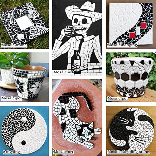 Youway Style Ceramic Mosaic Tiles for Crafts Bulk, 228g Black and White Mosaic Tiles, Mosaic Pieces for Mosaic Making Supplies (Mixed Colors,8 Ounce)