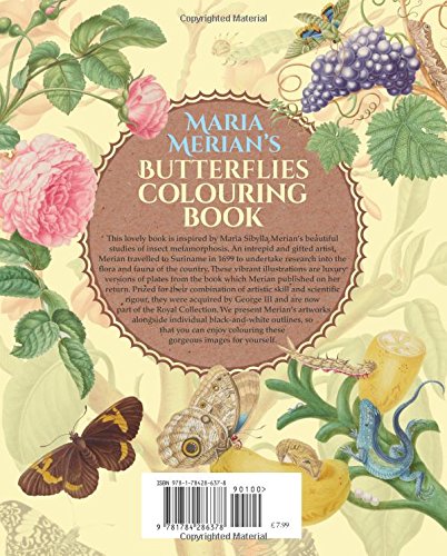 Butterflies Colouring Book