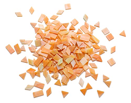 Lanyani Glass Mosaic Tiles for Art Crafts,4 Shapes Mixed Tiffany Stained Glass Pieces,200 Pieces (Sand)