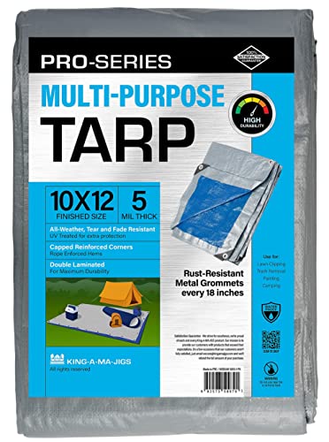 10x12 Ft Tarp, Waterproof Plastic Poly 5.5 Mil Thick Tarpaulin with Metal Grommets Every 18in - Emergency Rain Shelter, Outdoor Cover and Camping Use - (Reversible, Blue and Silver)