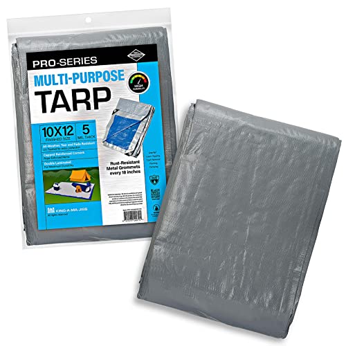 10x12 Ft Tarp, Waterproof Plastic Poly 5.5 Mil Thick Tarpaulin with Metal Grommets Every 18in - Emergency Rain Shelter, Outdoor Cover and Camping Use - (Reversible, Blue and Silver)